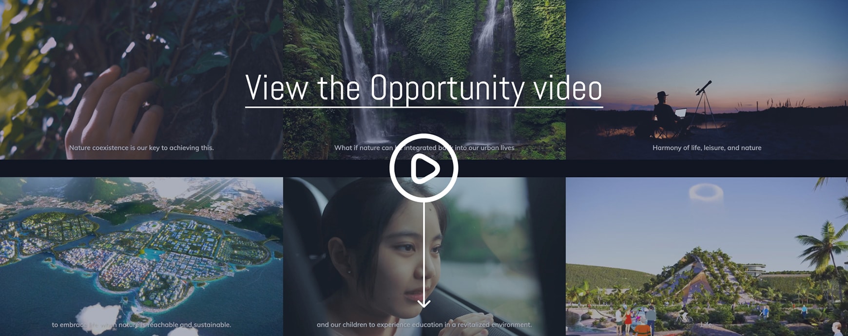 Andy Au Design | Beyond Ocean Park