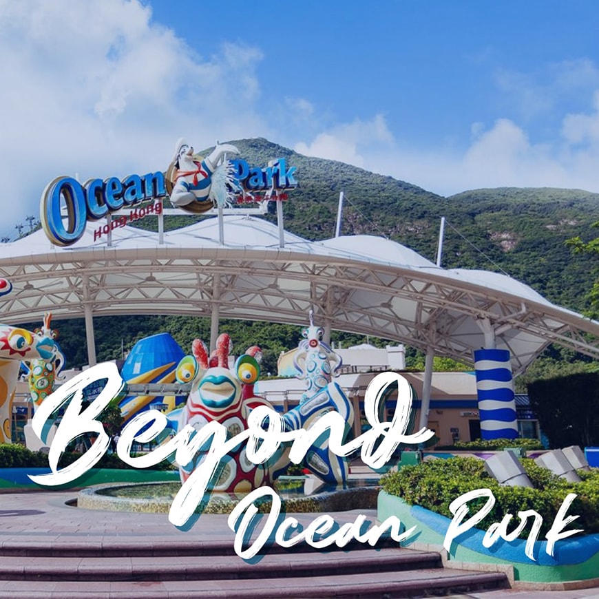 Andy Au Design | Beyond Ocean Park